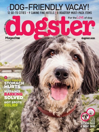 Dogster Magazine