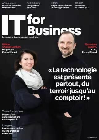 IT for Business (Fran&ccedil;ais)