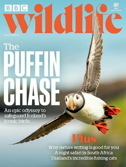 BBC Wildlife Magazine