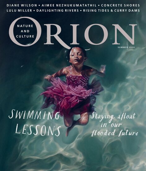 Orion Magazine