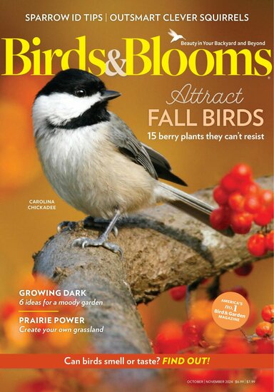 Birds &amp; Blooms Magazine