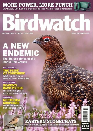 Birdwatch Magazine