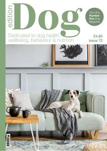 Edition Dog Magazine