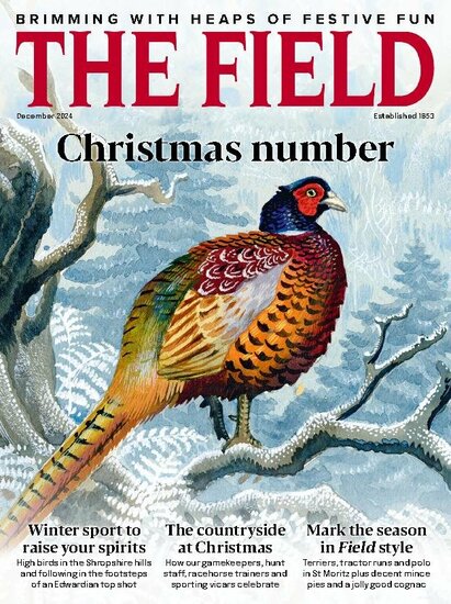 The Field Magazine