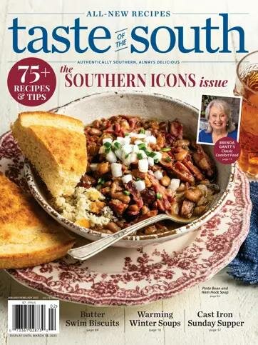 Taste of the South Magazine