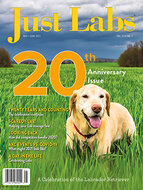 Just Labs Magazine