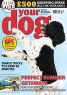 Your Dog Magazine