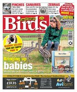 Cage &amp; Aviary Birds Magazine