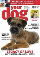 Your Dog Magazine